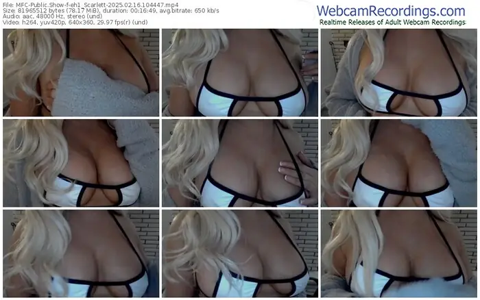 2025/02/16/mfc-eh1_scarlett-10-44-47