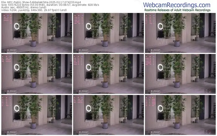 2025/02/17/mfc-abbelawhite-07-42-33