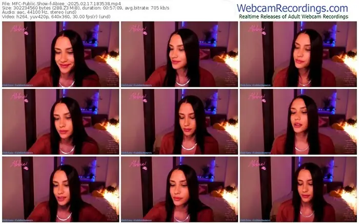 2025/02/17/mfc-abiee_-18-35-38