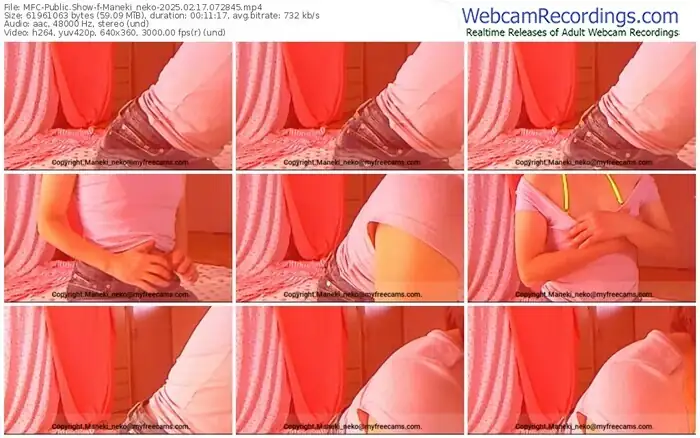 2025/02/17/mfc-maneki_neko-07-28-45