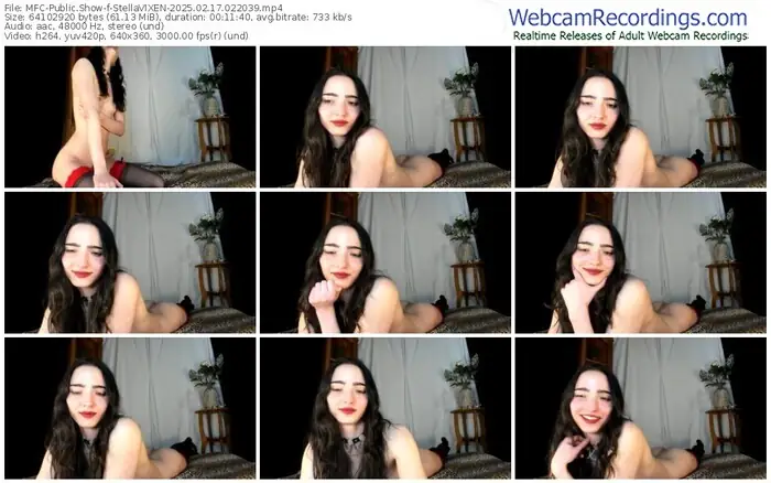 2025/02/17/mfc-stellavixen-02-20-39