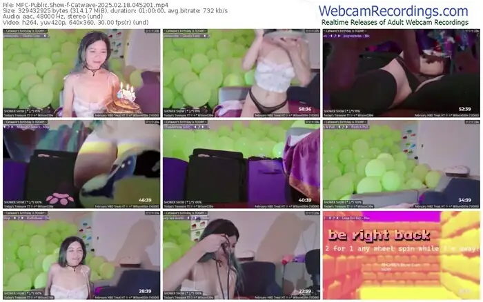 2025/02/18/mfc-catwave-04-52-01