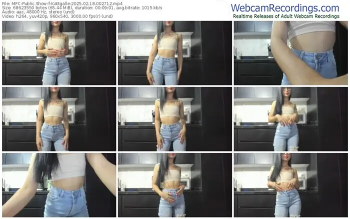 2025/02/18/mfc-kattgalle-00-27-12