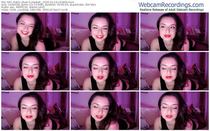 2025/02/18/mfc-cheetah_-16-24-06