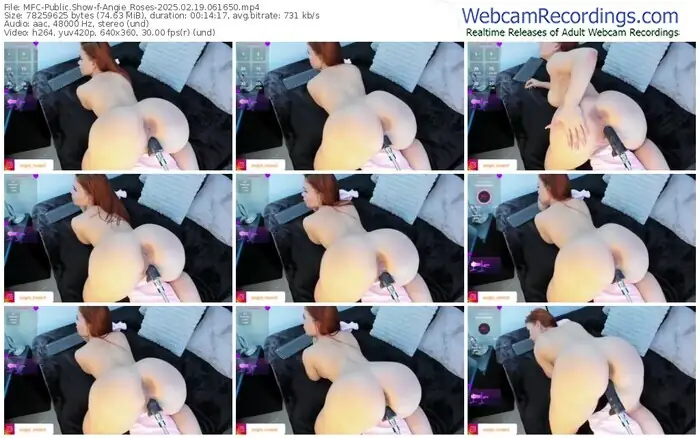 2025/02/19/mfc-angie_roses-06-16-50