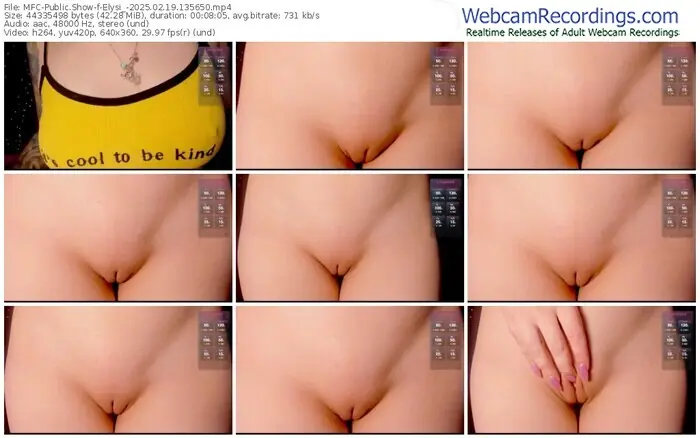 2025/02/19/mfc-elysi_-13-56-50