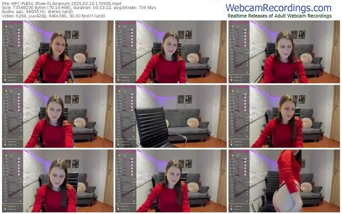 2025/02/19/mfc-librarium-17-09-09