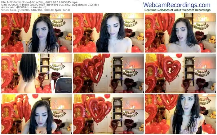 2025/02/19/mfc-pr1nc3ss_-04-56-45