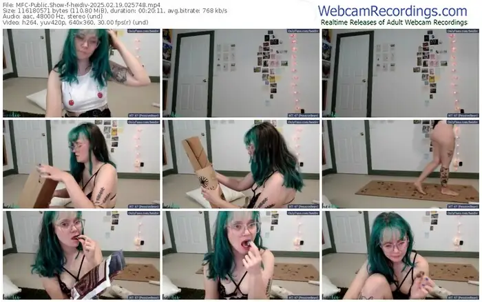 2025/02/19/mfc-heidiv-02-57-48