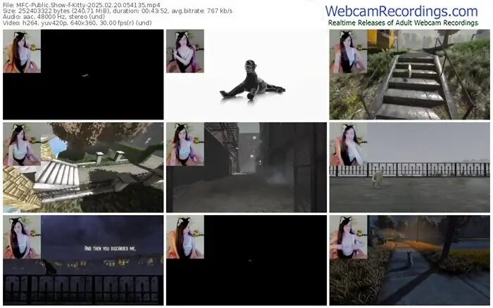 2025/02/20/mfc-kitty-05-41-35