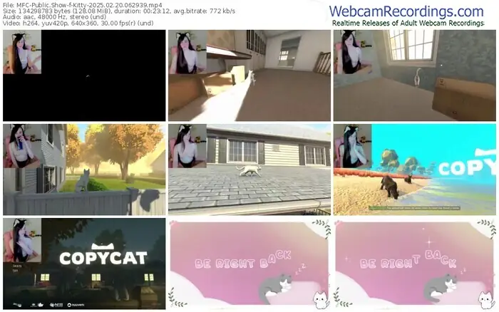 2025/02/20/mfc-kitty-06-29-39