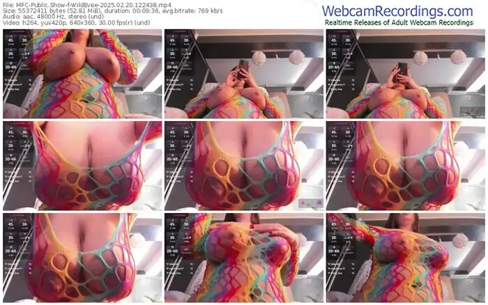 2025/02/20/mfc-wildevee-12-24-38