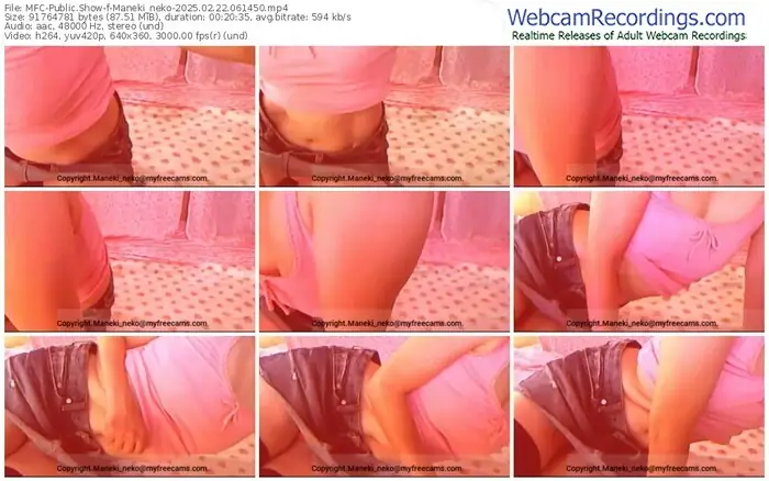 2025/02/22/mfc-maneki_neko-06-14-50