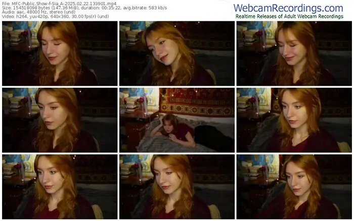 2025/02/22/mfc-sia_a-13-39-01