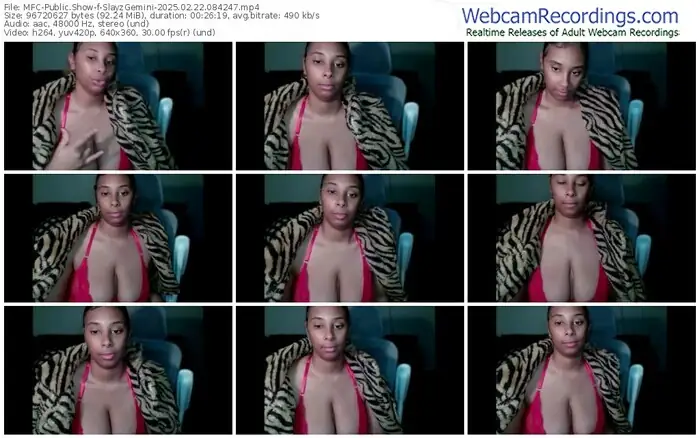 2025/02/22/mfc-slayzgemini-08-42-47