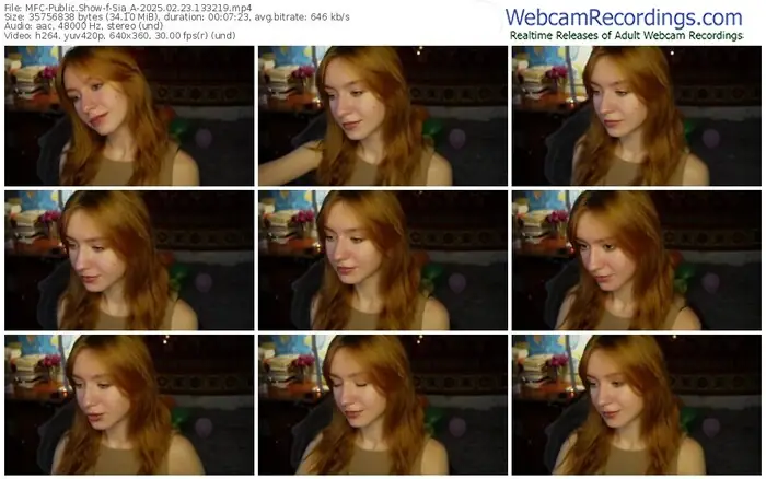 2025/02/23/mfc-sia_a-13-32-19