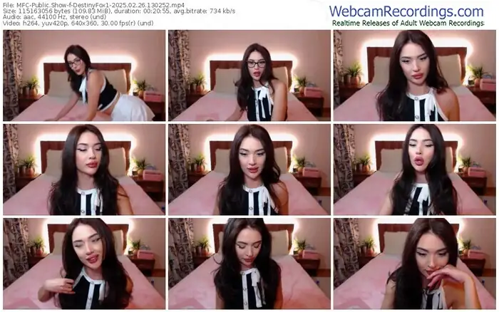 2025/02/26/mfc-destinyfox1-13-02-52