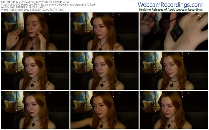 2025/02/27/mfc-sia_a-17-27-43