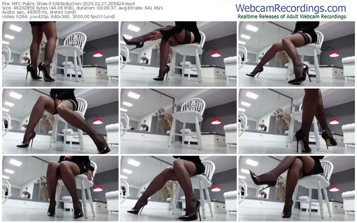 2025/02/27/mfc-silkseduction-20-58-24