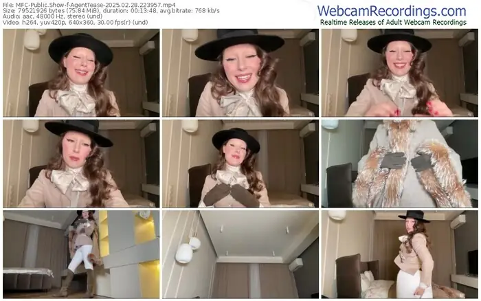 2025/02/28/mfc-agenttease-22-39-57