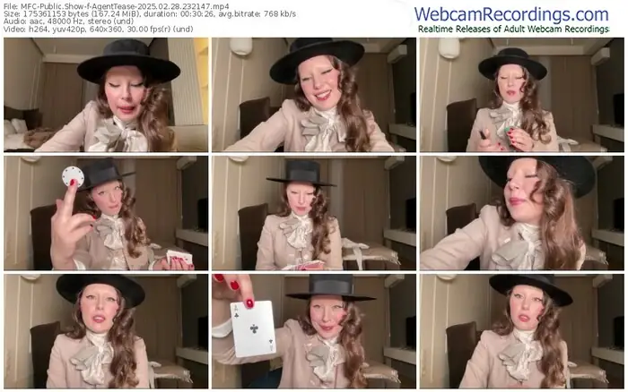 2025/02/28/mfc-agenttease-23-21-47