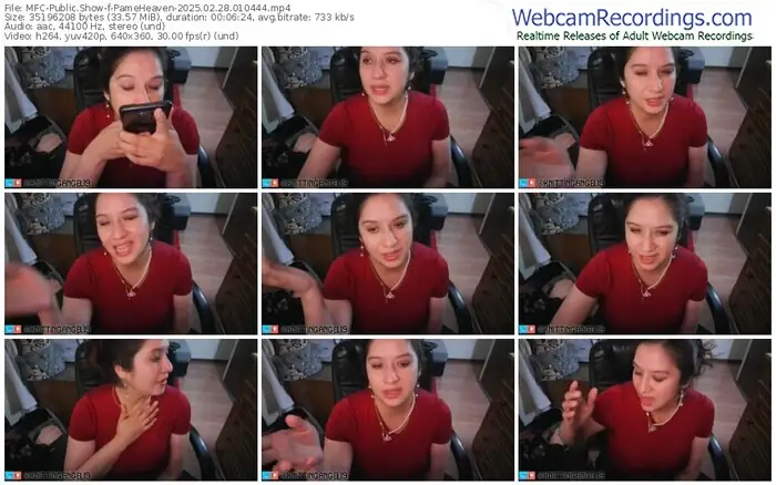 2025/02/28/mfc-pameheaven-01-04-44