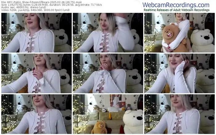 2025/02/28/mfc-roomofbears-18-17-51