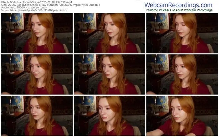 2025/02/28/mfc-sia_a-19-45-33