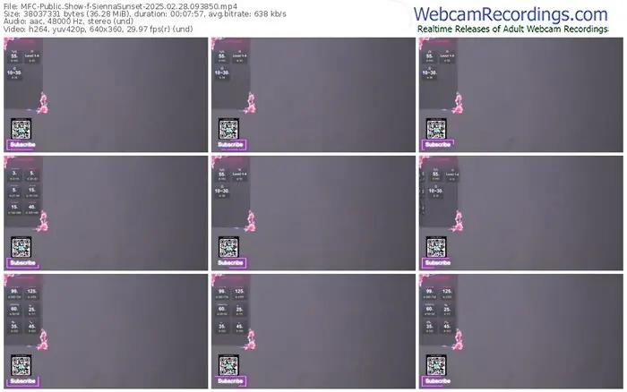 2025/02/28/mfc-siennasunset-09-38-50
