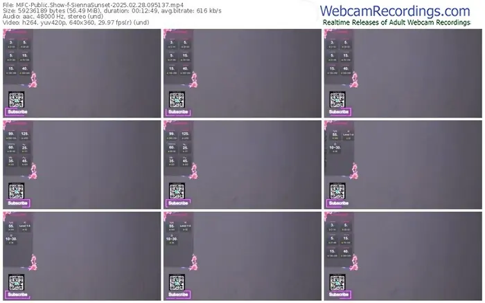 2025/02/28/mfc-siennasunset-09-51-37