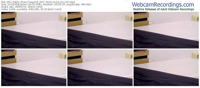 2025/03/02/mfc-squirrel_mfc-21-11-35