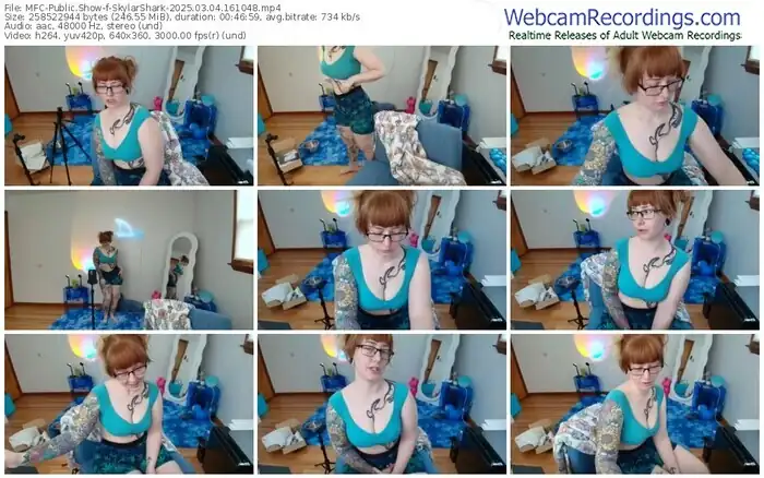 2025/03/04/mfc-skylarshark-16-10-48