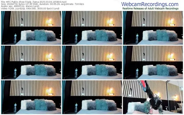 2025/03/04/mfc-lady_llama-16-58-04