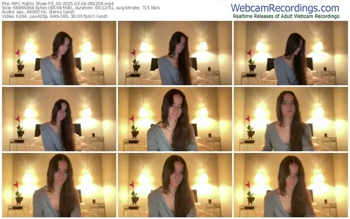 2025/03/04/mfc-ll_00-08-02-09