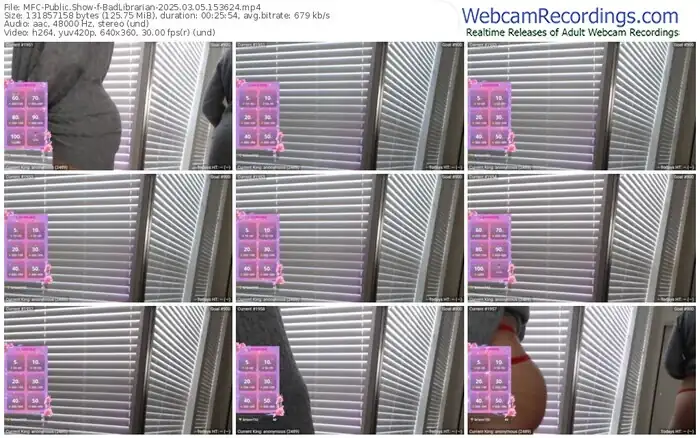 2025/03/05/mfc-badlibrarian-15-36-24