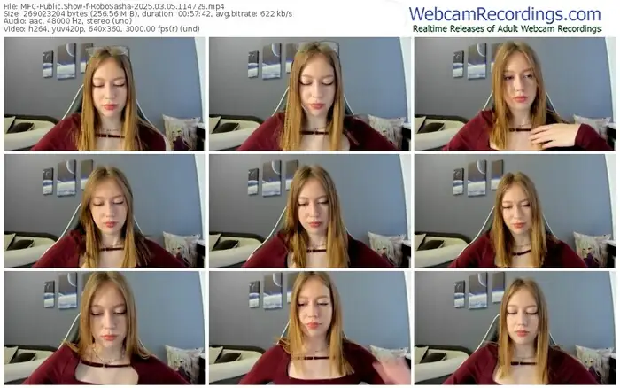 2025/03/05/mfc-robosasha-11-47-29