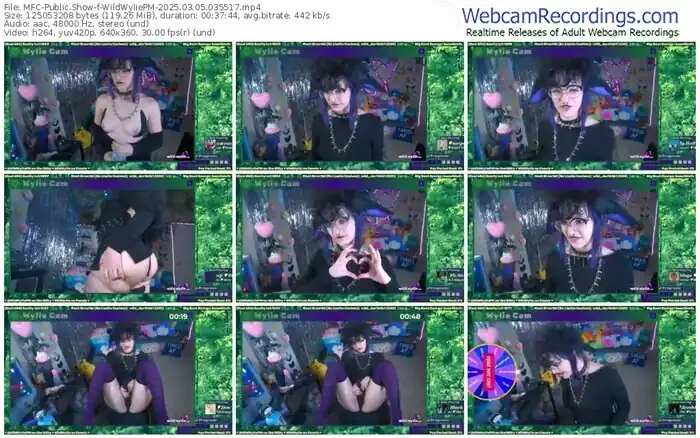 2025/03/05/mfc-wildwyliepm-03-55-17