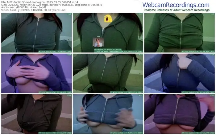 2025/03/05/mfc-meowgical-06-07-51