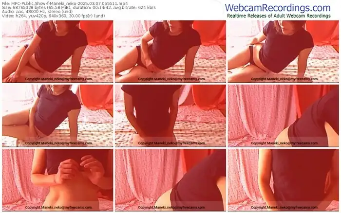 2025/03/07/mfc-maneki_neko-05-55-11