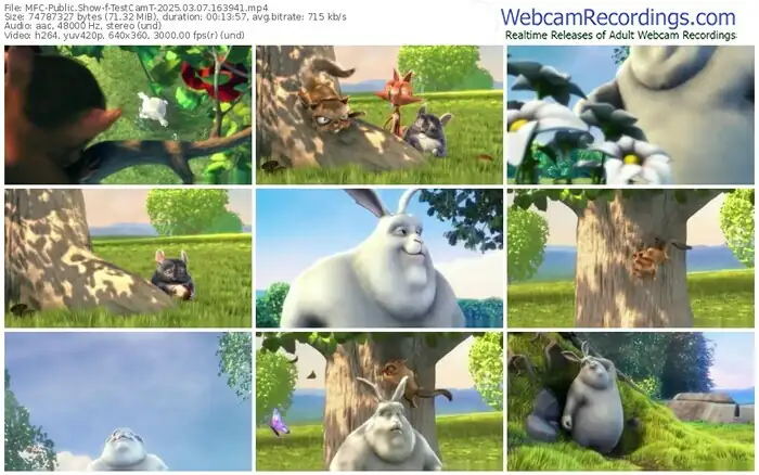 2025/03/07/mfc-testcamt-16-39-41