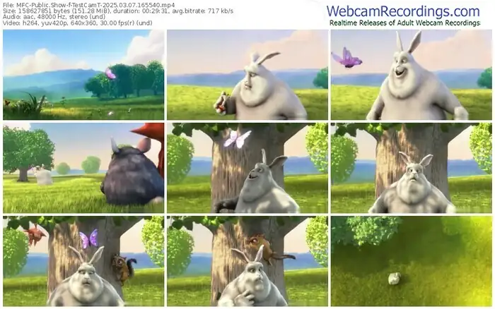 2025/03/07/mfc-testcamt-16-55-40