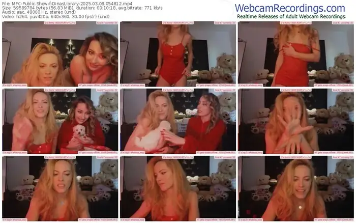 2025/03/08/mfc-dinaslibrary-05-48-12