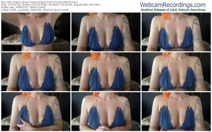2025/03/08/mfc-purrtymetal-18-56-50
