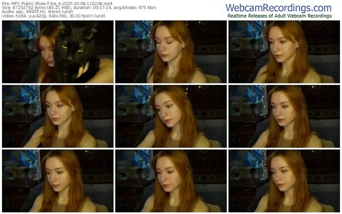 2025/03/08/mfc-sia_a-11-02-38