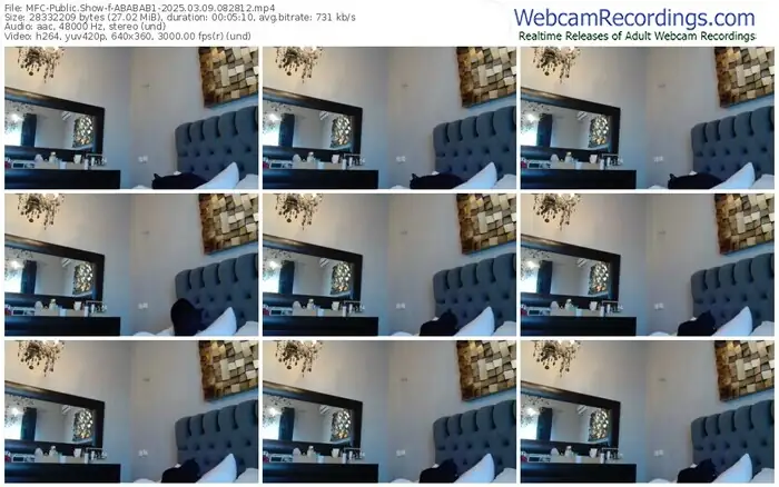 2025/03/09/mfc-ababab1-08-28-12