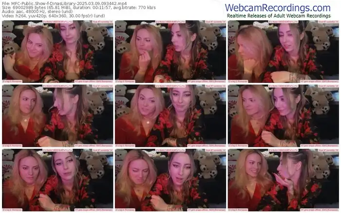 2025/03/09/mfc-dinaslibrary-09-34-42