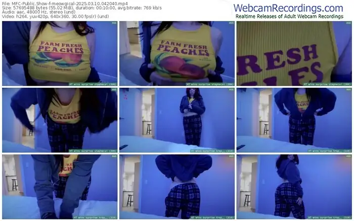 2025/03/10/mfc-meowgical-04-20-40