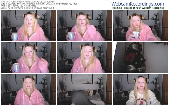 2025/03/11/mfc-kittie-02-53-29