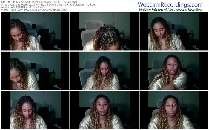 2025/03/11/mfc-slayzgemini-07-26-49
