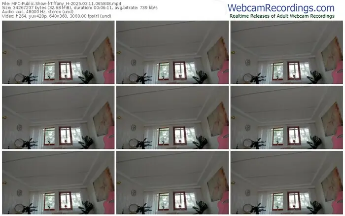 2025/03/11/mfc-tiffany_h-06-58-48